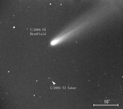 �u���b�h�t�B�[���h�a���ƃ^�C�o�[�a��