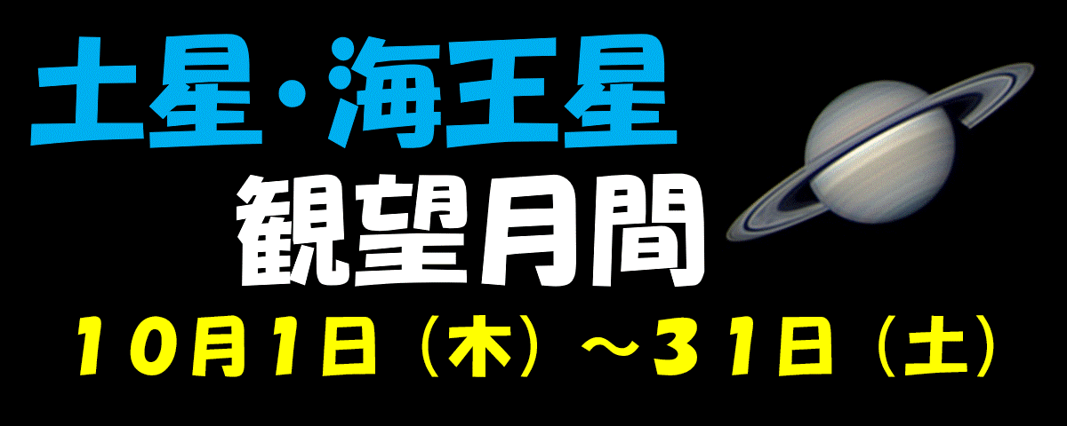 �y���C�����ϖ]����